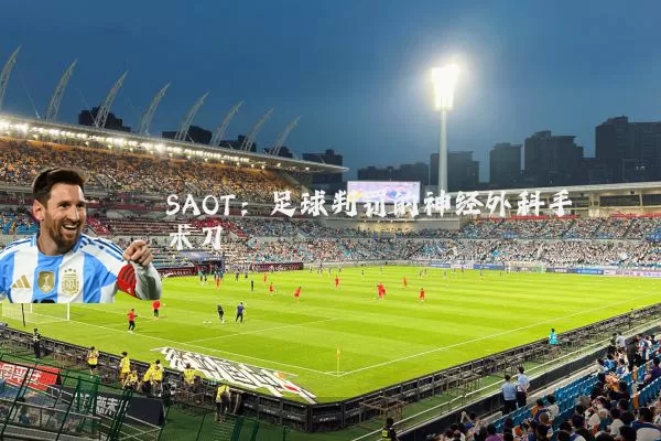 SAOT：足球判罚的神经外科手术刀